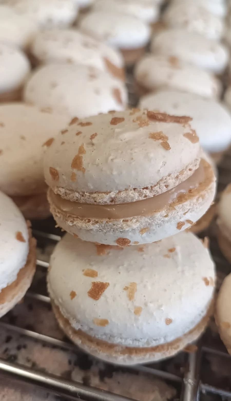 Macaron caramel beurre salé Aux Délices Lorraines